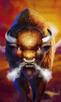 Buffalo Rampage